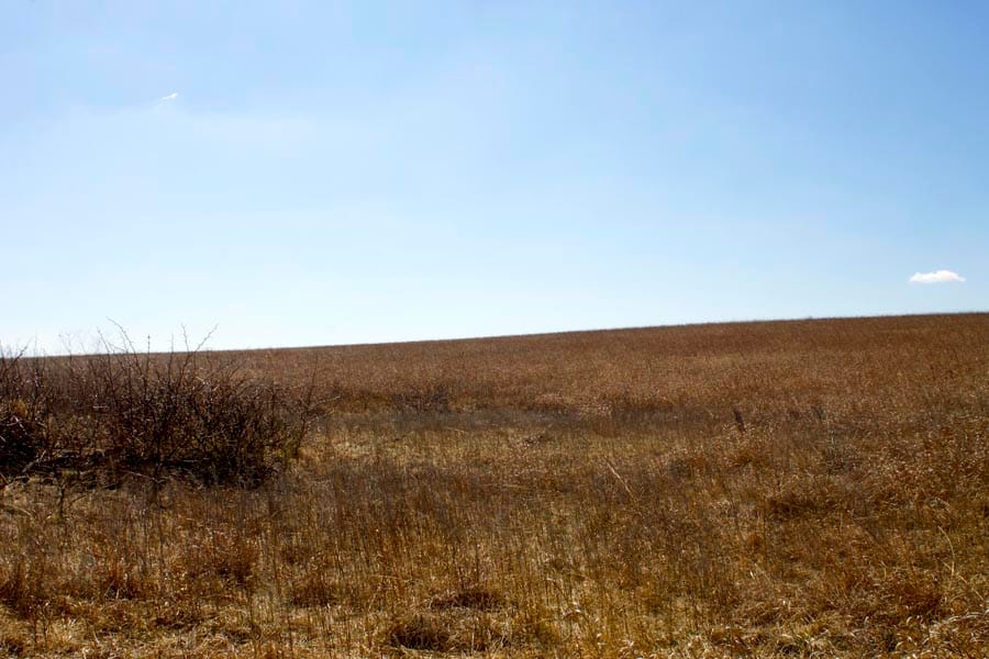 Cowboy Meadows Tract 4 photo 7