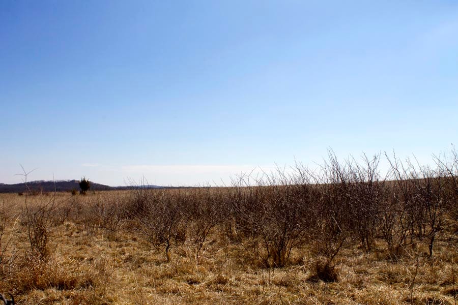 Cowboy Meadows Tract 4 photo 8