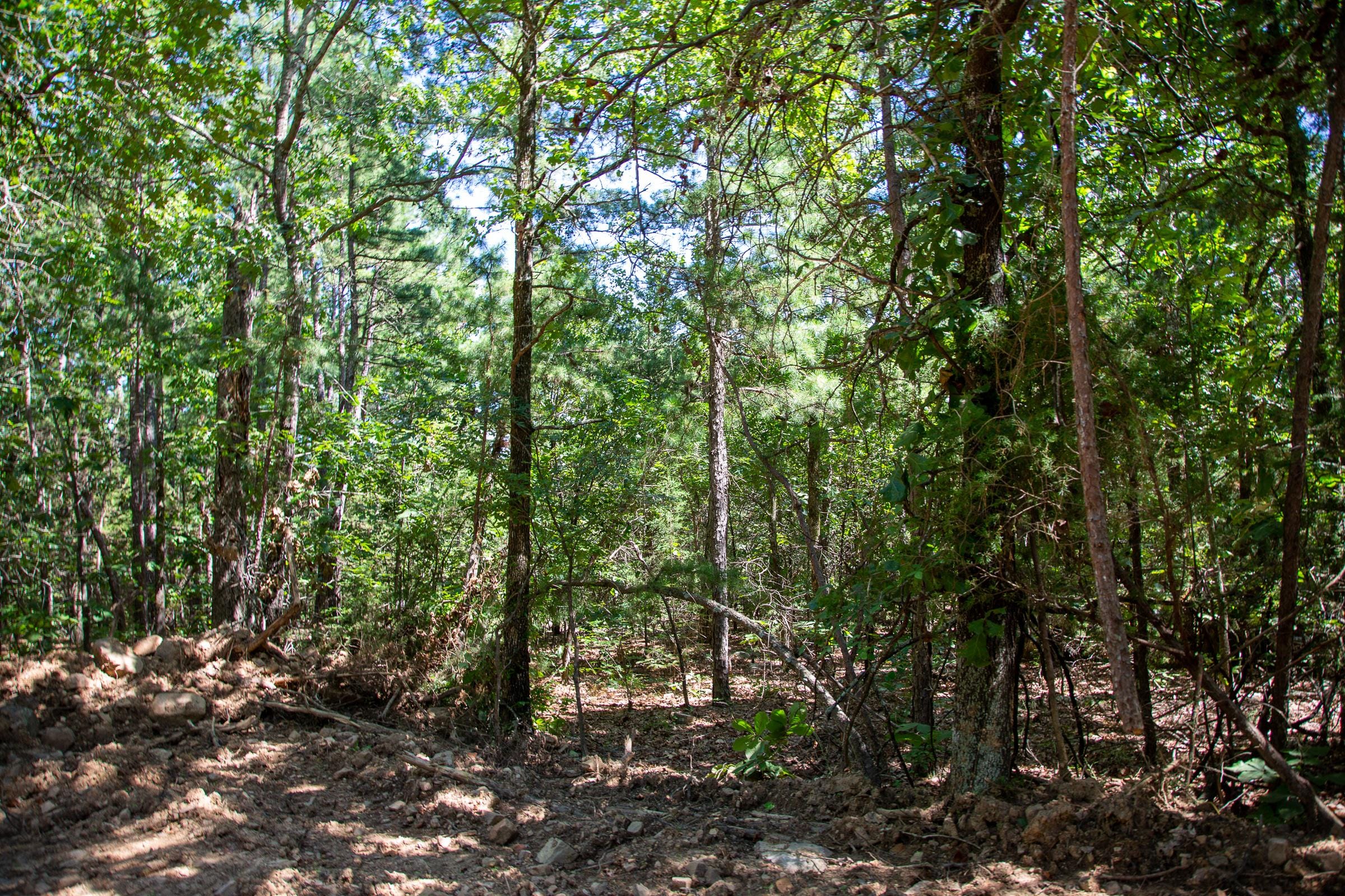 Tyler Stone Ranch Tract 33 photo 2