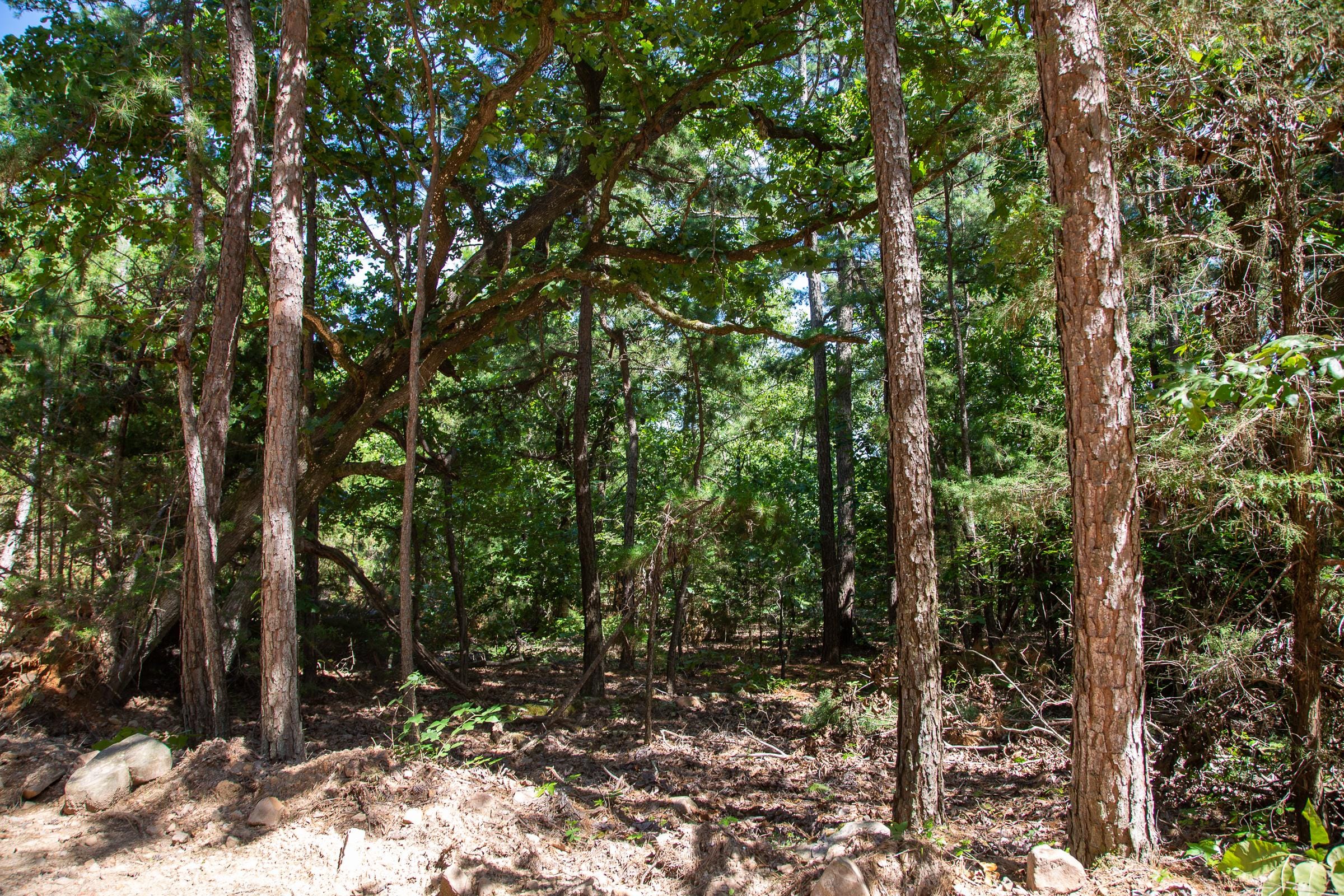 Tyler Stone Ranch Tract 33 photo 3