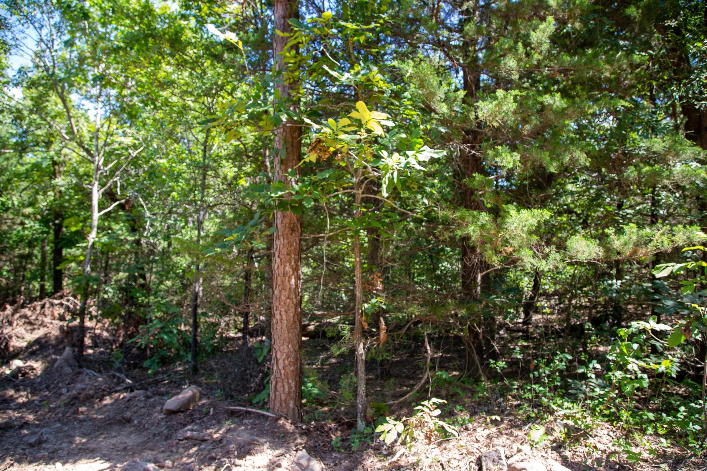 Tyler Stone Ranch Tract 33 photo 7