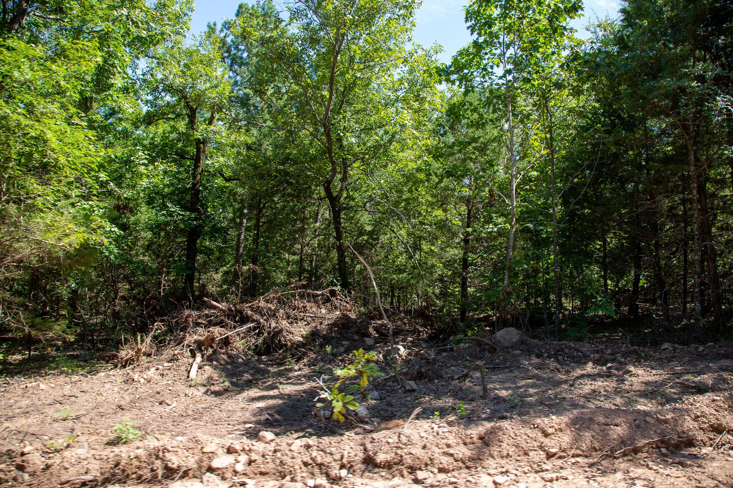 Tyler Stone Ranch Tract 33 photo 8