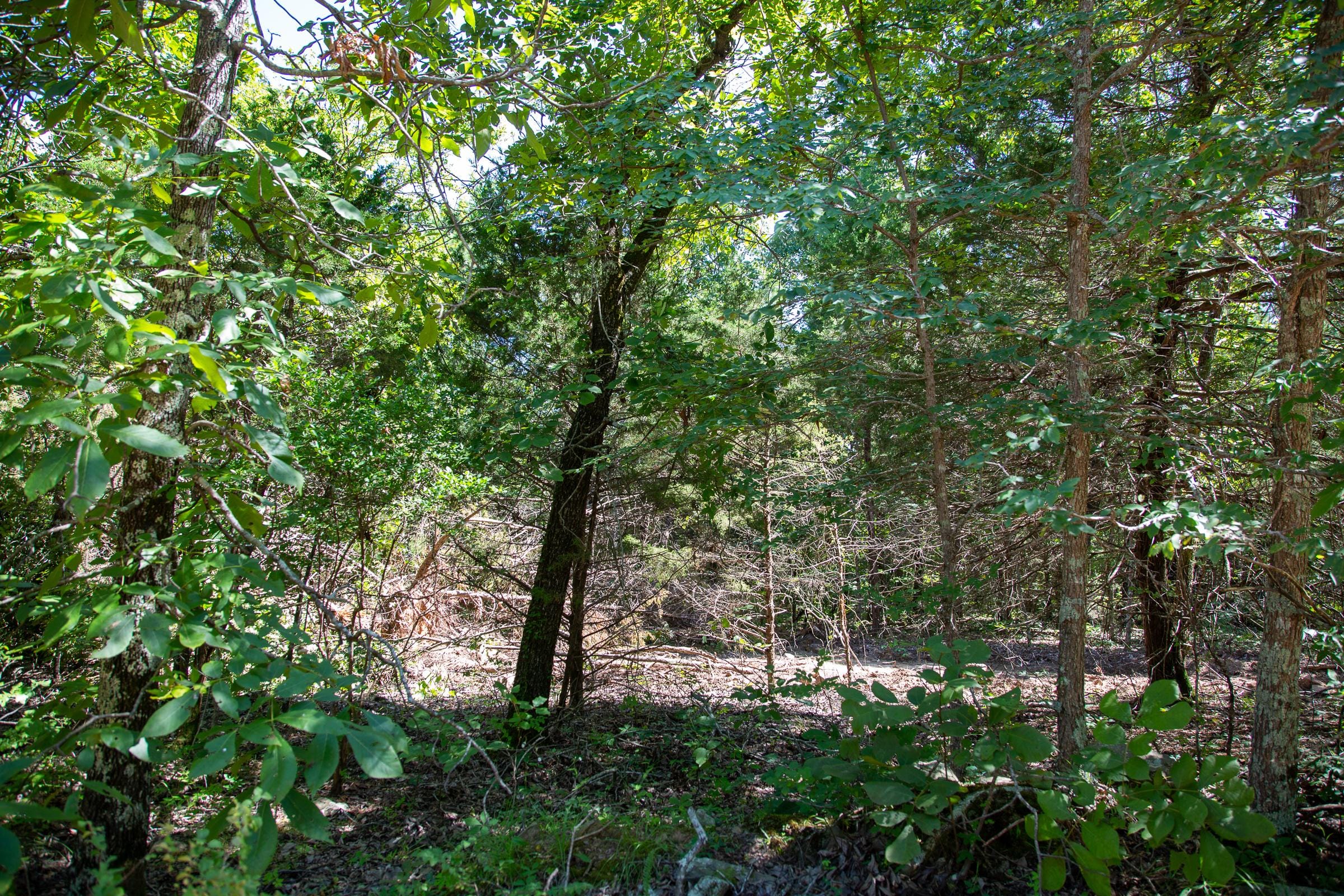 Tyler Stone Ranch Tract 33 photo 9