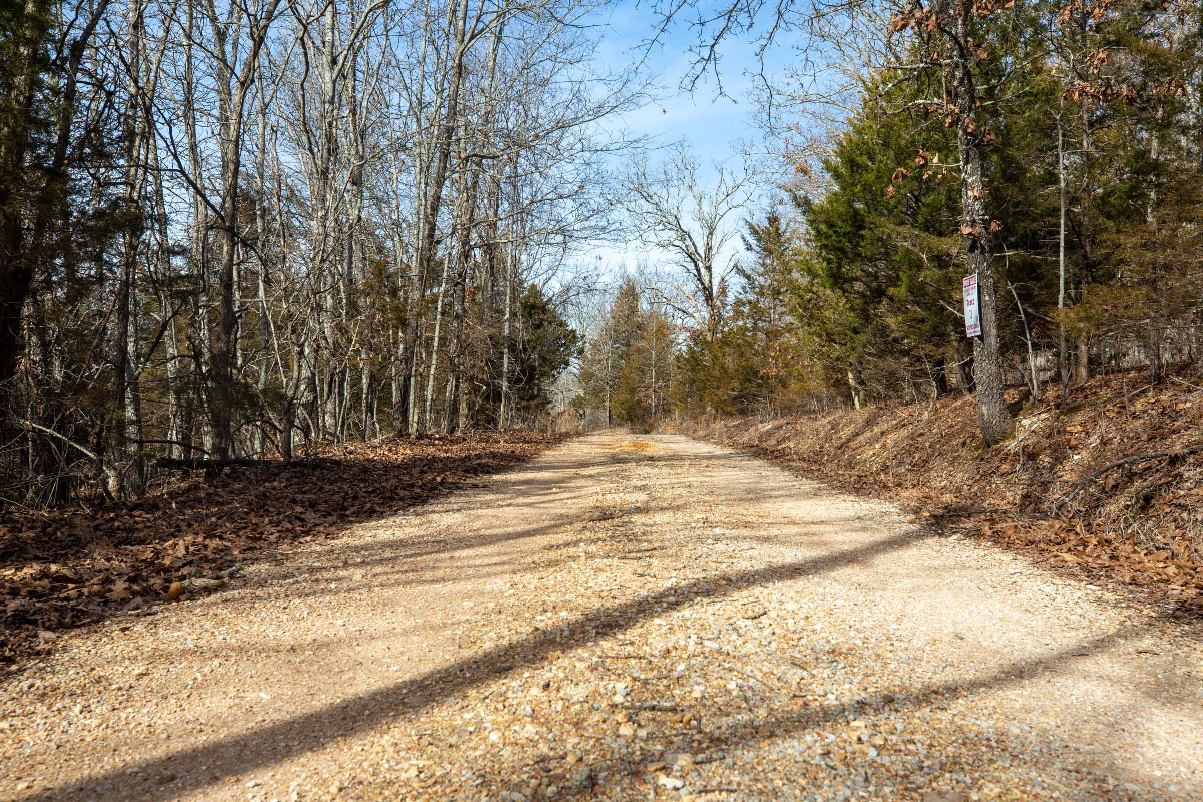 Forest Hill Tract 12 photo 1