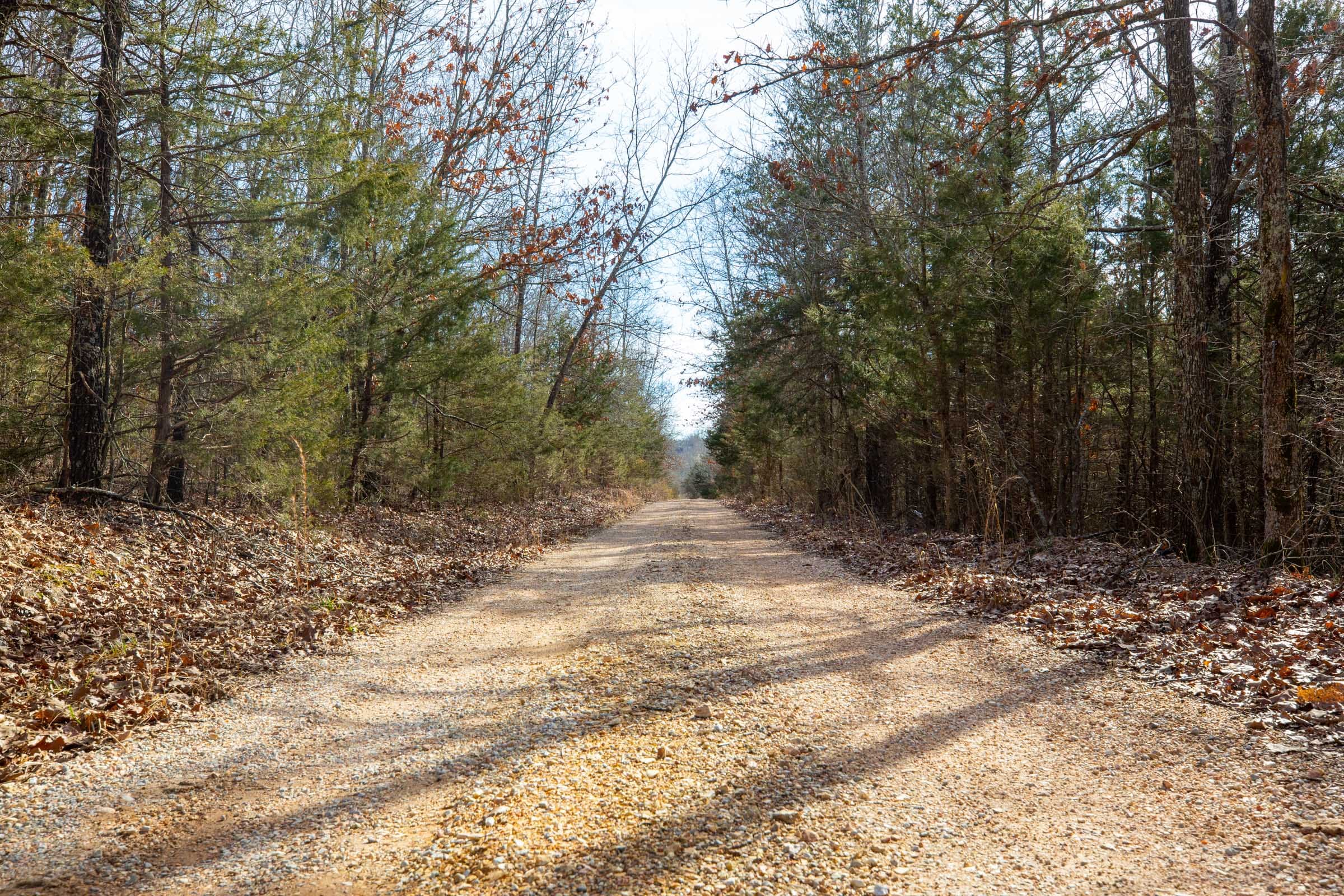Forest Hill Tract 12 photo 7