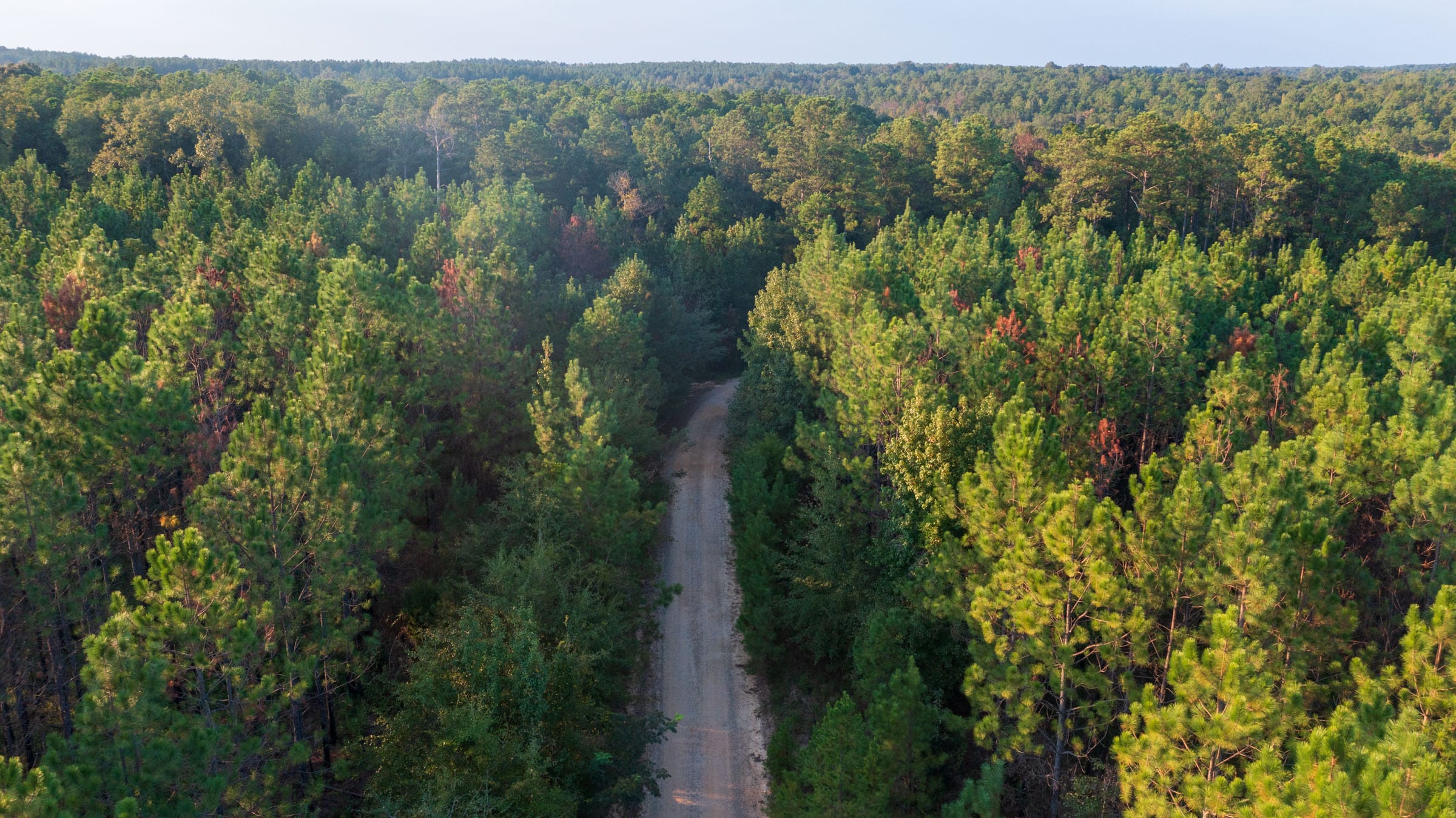 Jackson’s Gap Tract 2 photo 1