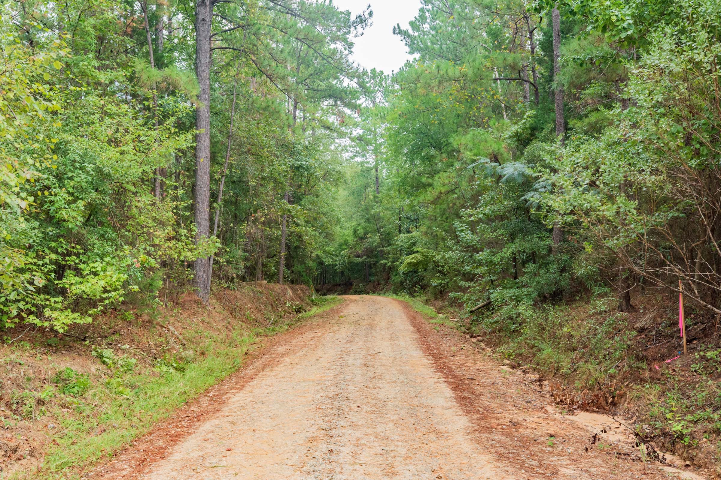 Jackson’s Gap Tract 2 photo 12