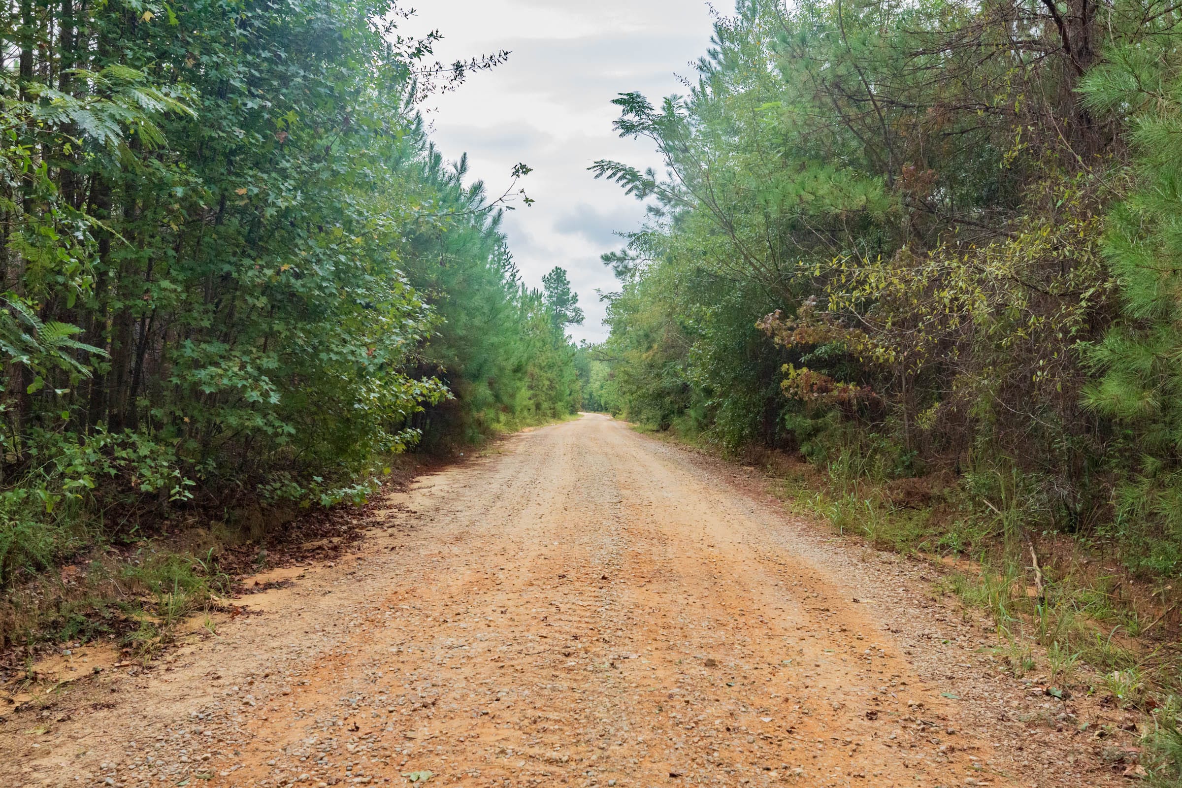 Jackson’s Gap Tract 2 photo 6