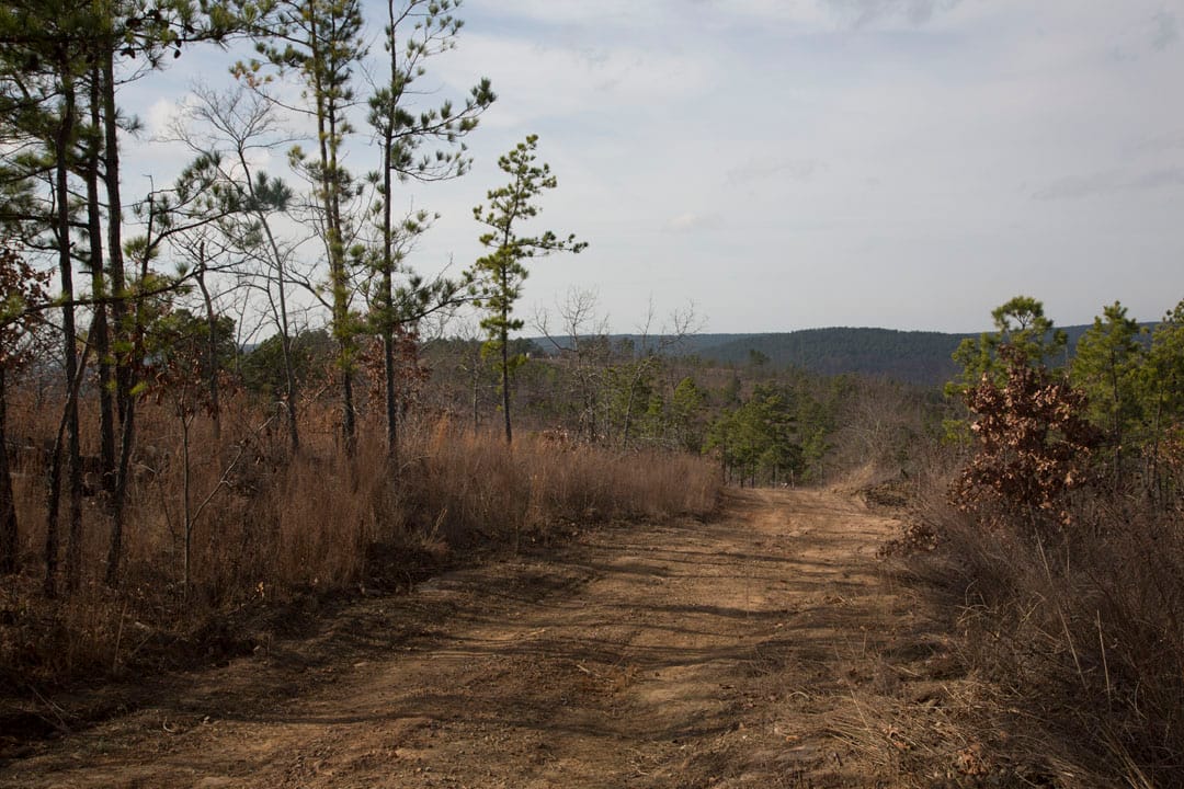 Stone Creek Phase III Tract 72 photo 2