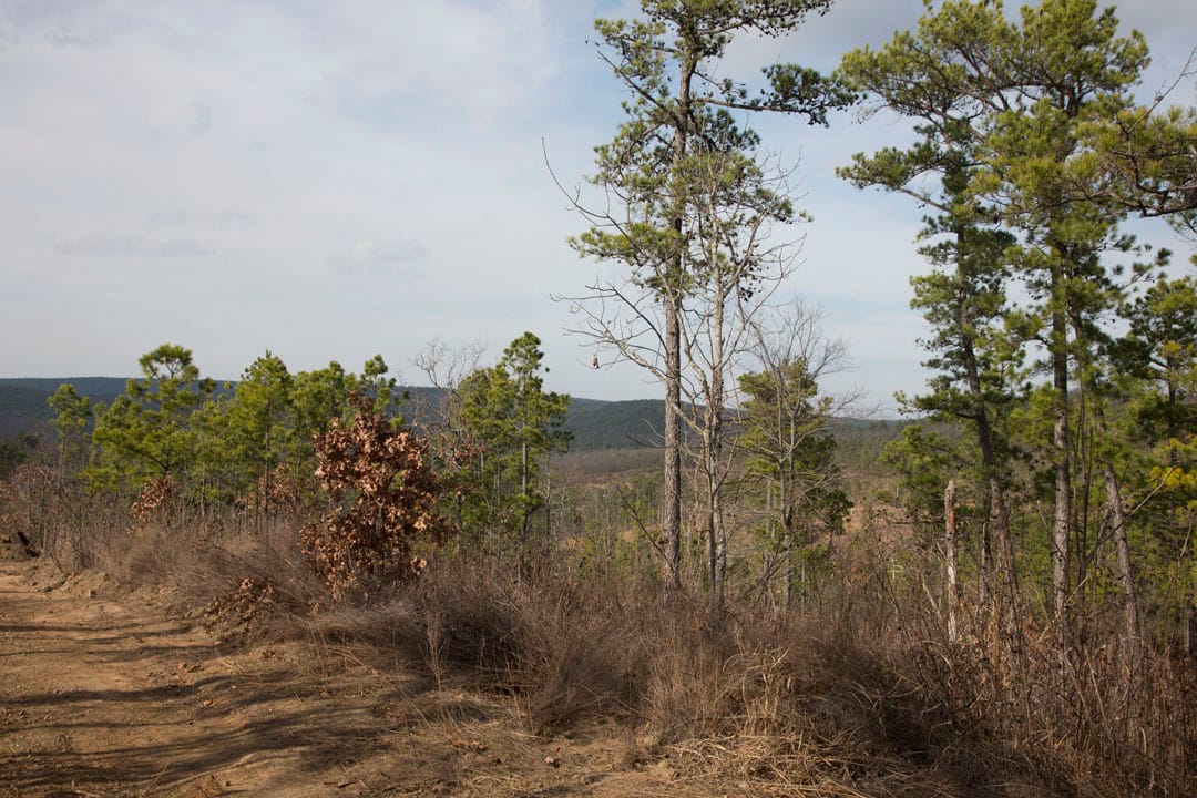 Stone Creek Phase III Tract 72 photo 3