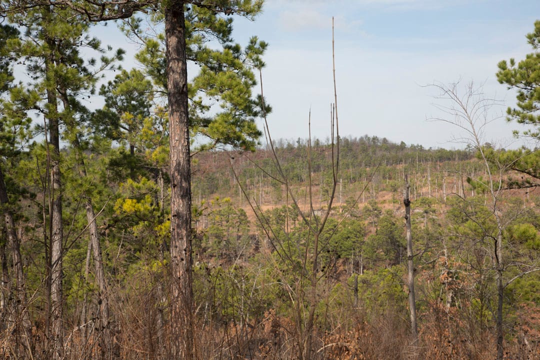 Stone Creek Phase III Tract 72 photo 4