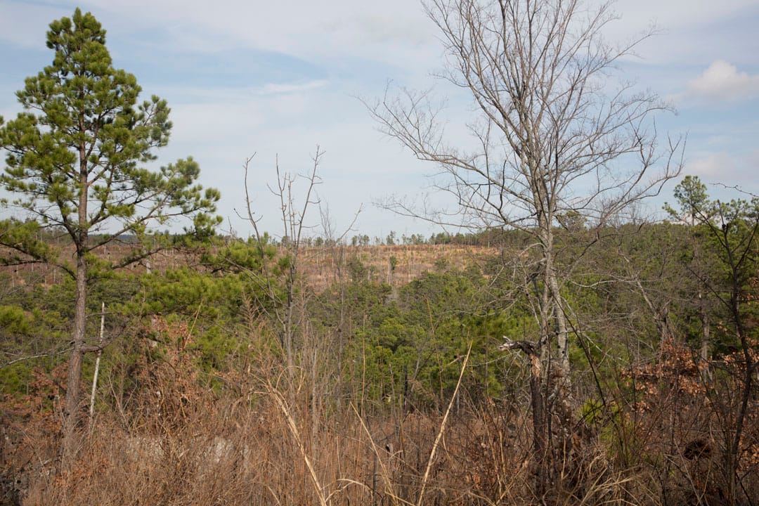 Stone Creek Phase III Tract 72 photo 5