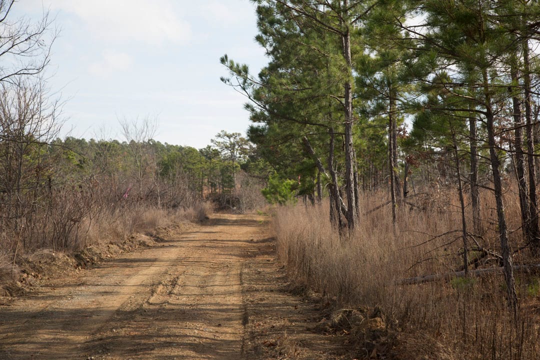 Stone Creek Phase III Tract 72 photo 6