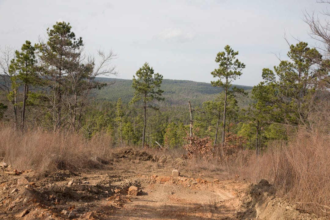 Stone Creek Phase III Tract 72 photo 10