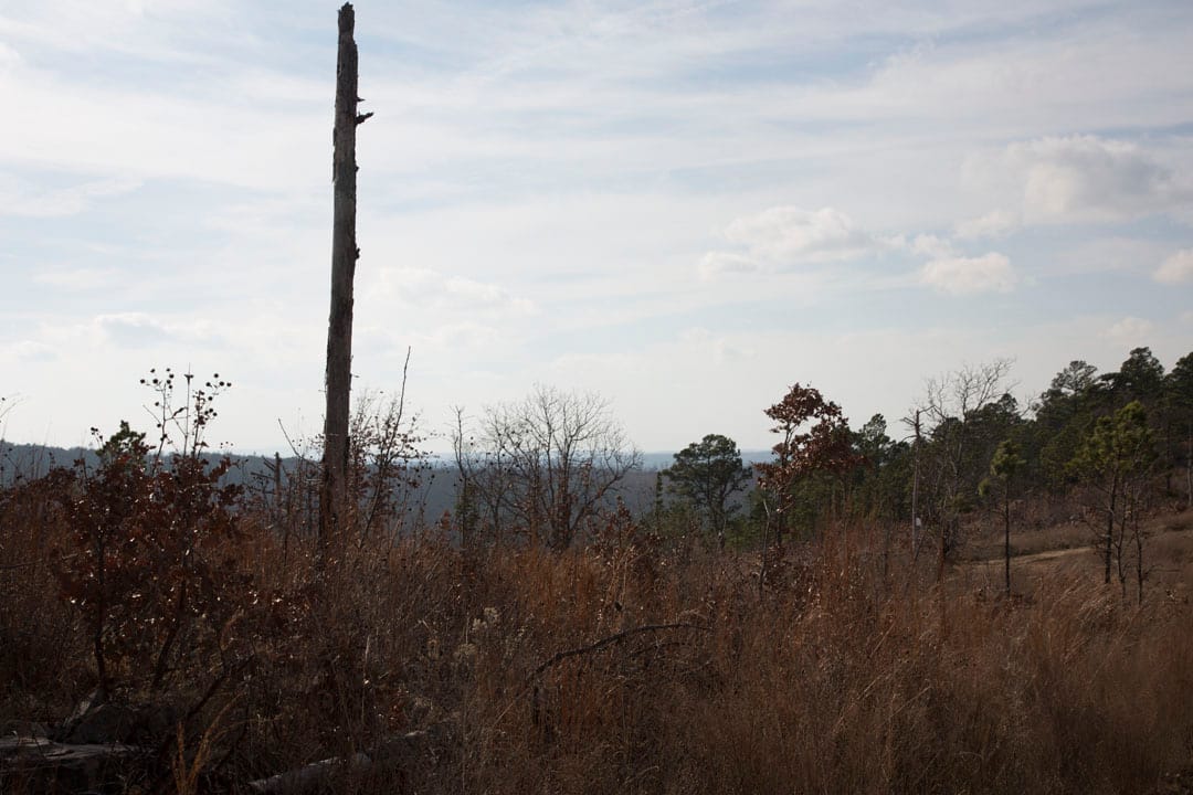 Stone Creek Phase III Tract 72 photo 11