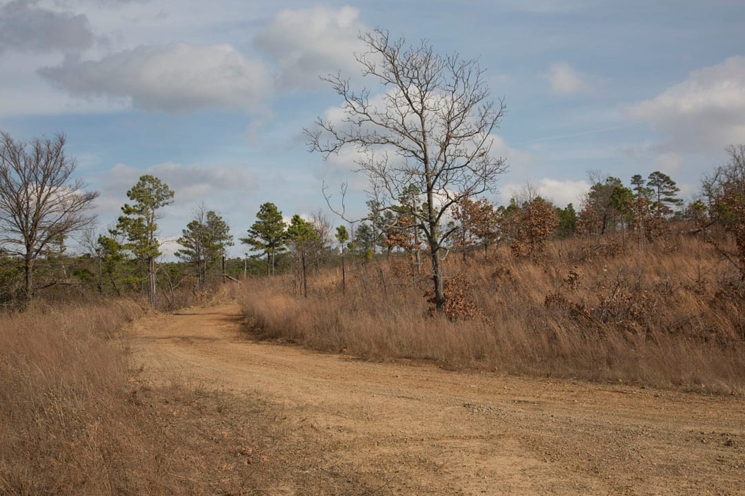 Stone Creek Phase III Tract 72 photo 13