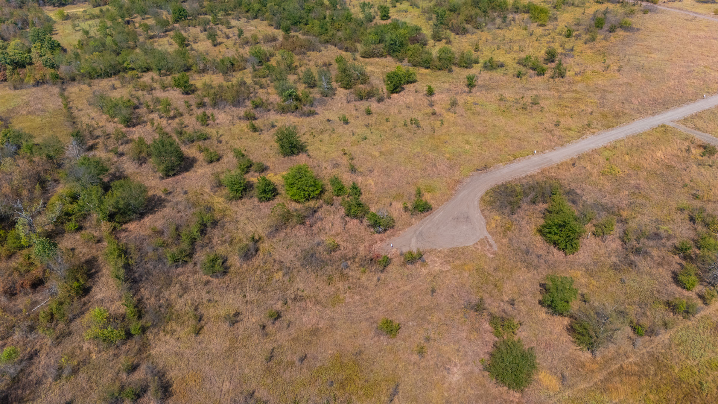 Gracyn Meadows Tract 14 photo 6