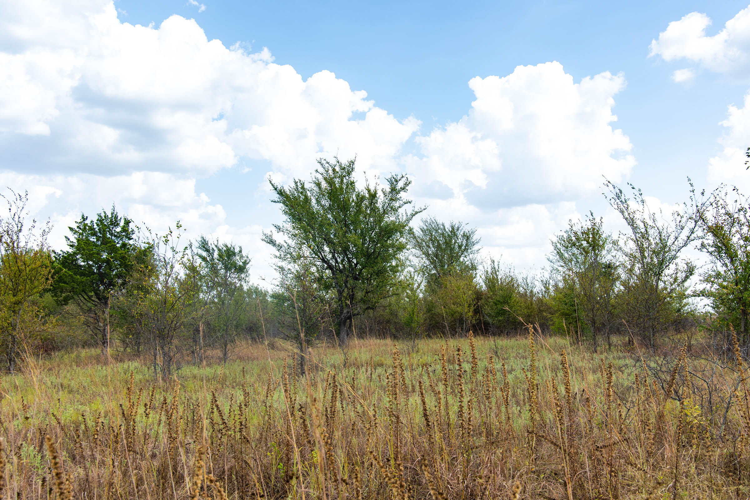 Gracyn Meadows Tract 14 photo 5