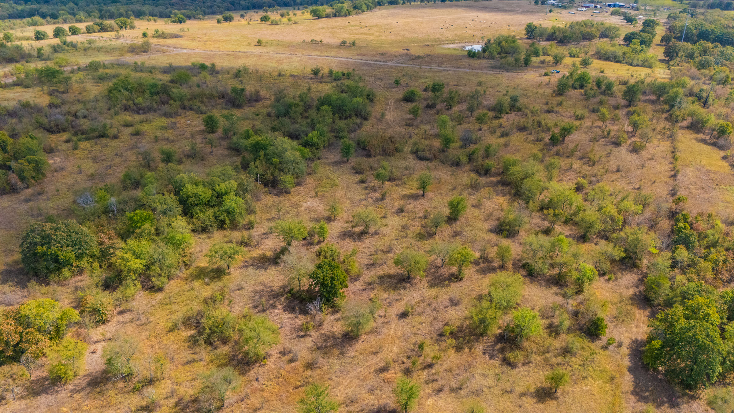 Gracyn Meadows Tract 14 photo 7