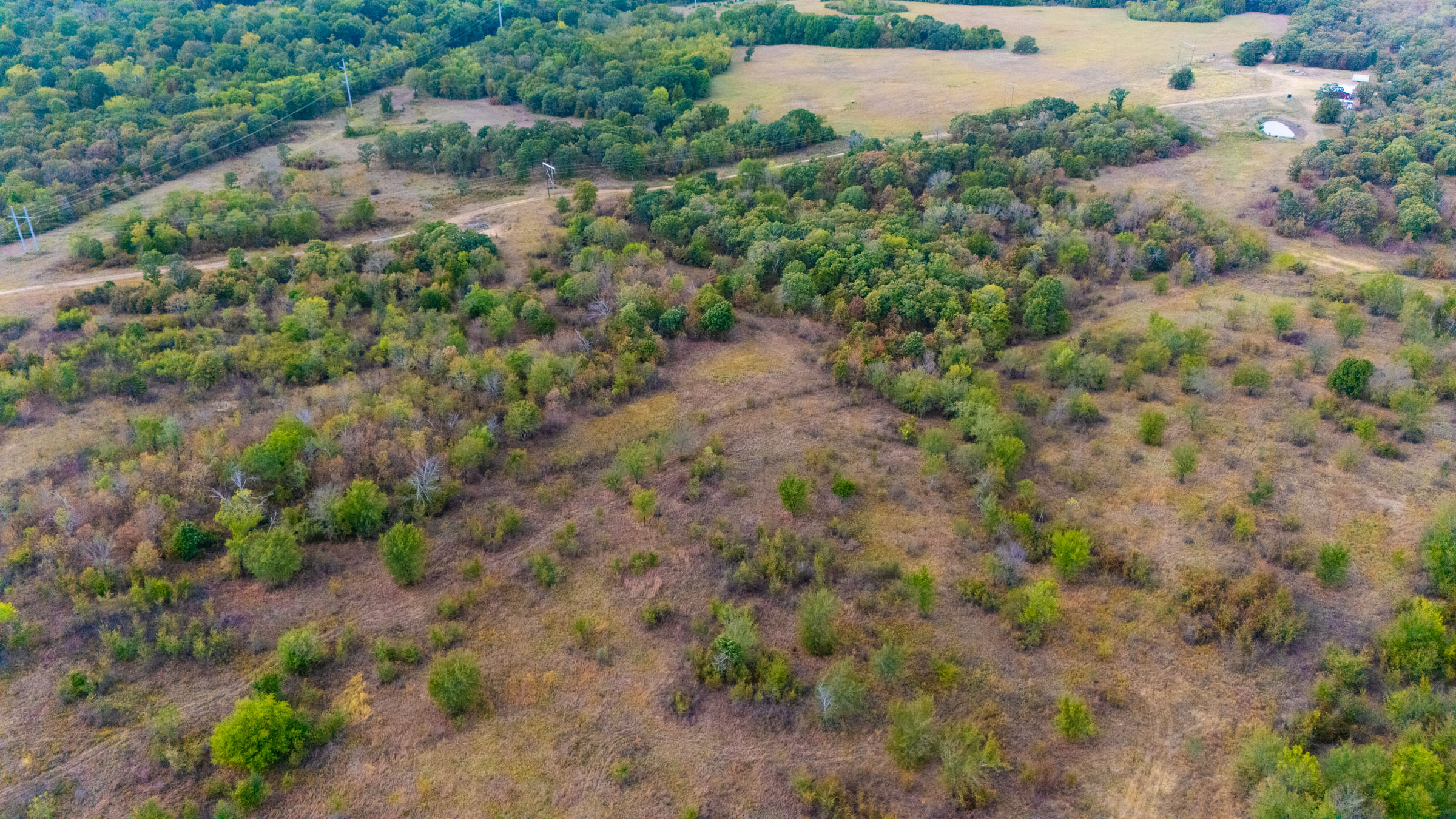 Gracyn Meadows Tract 14 photo 2
