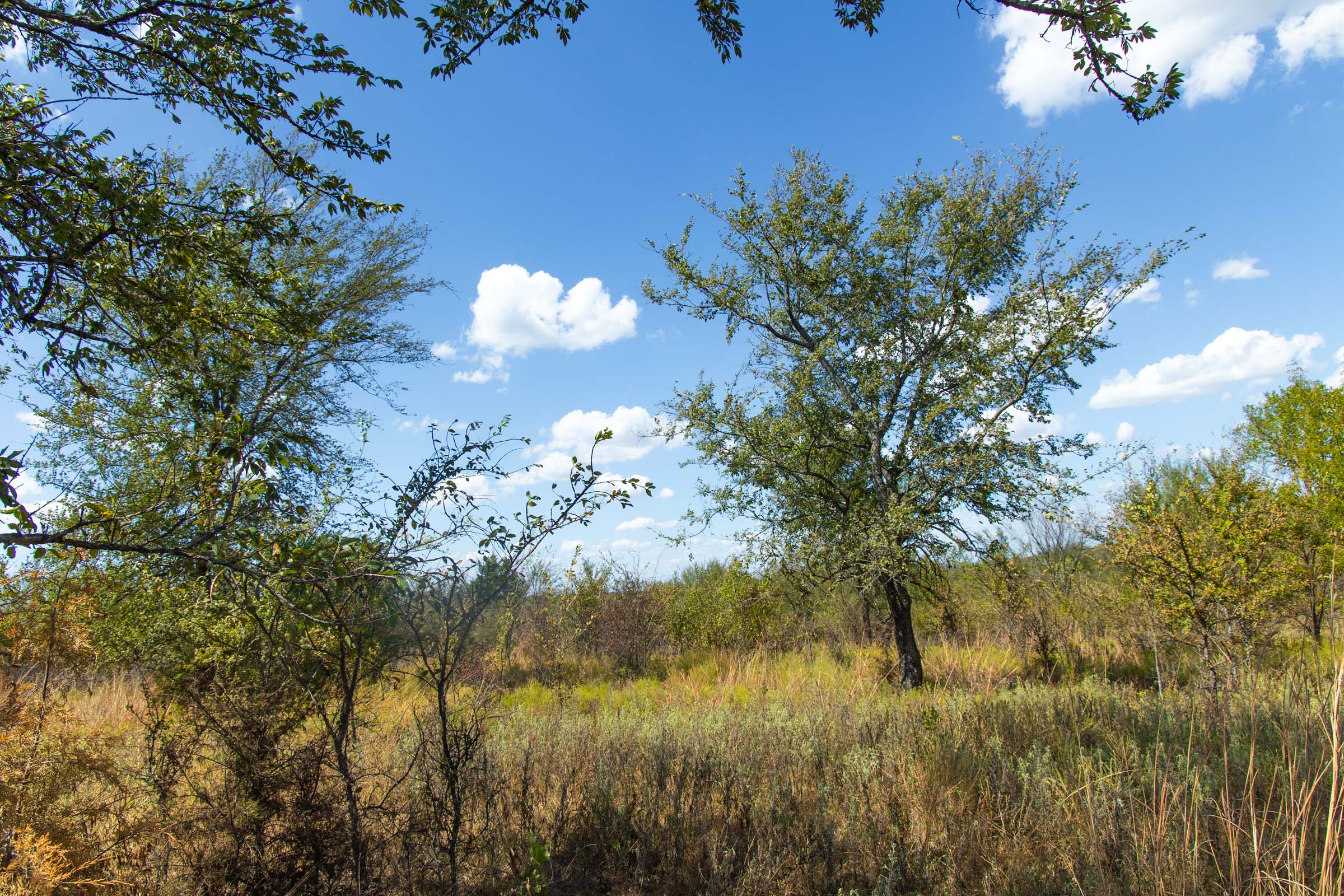 Gracyn Meadows Tract 14 photo 11