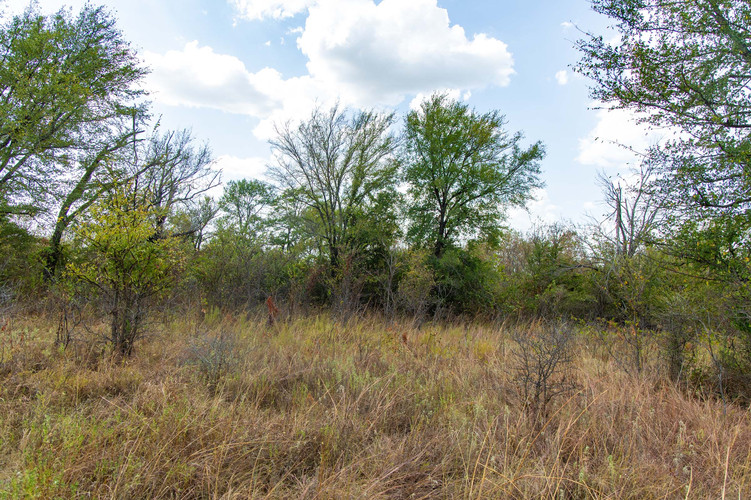 Gracyn Meadows Tract 14 photo 3