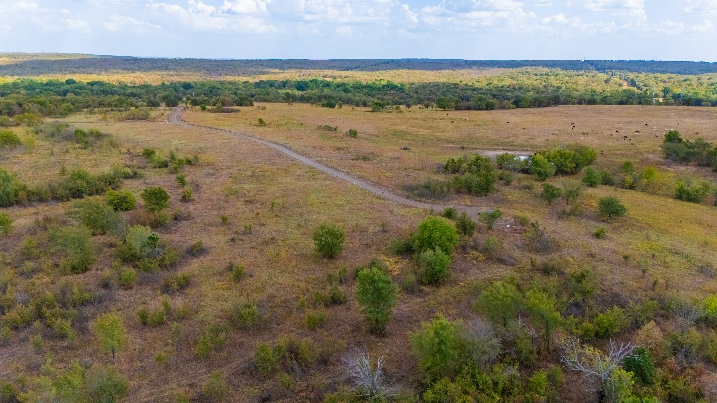Gracyn Meadows Tract 14 photo 10
