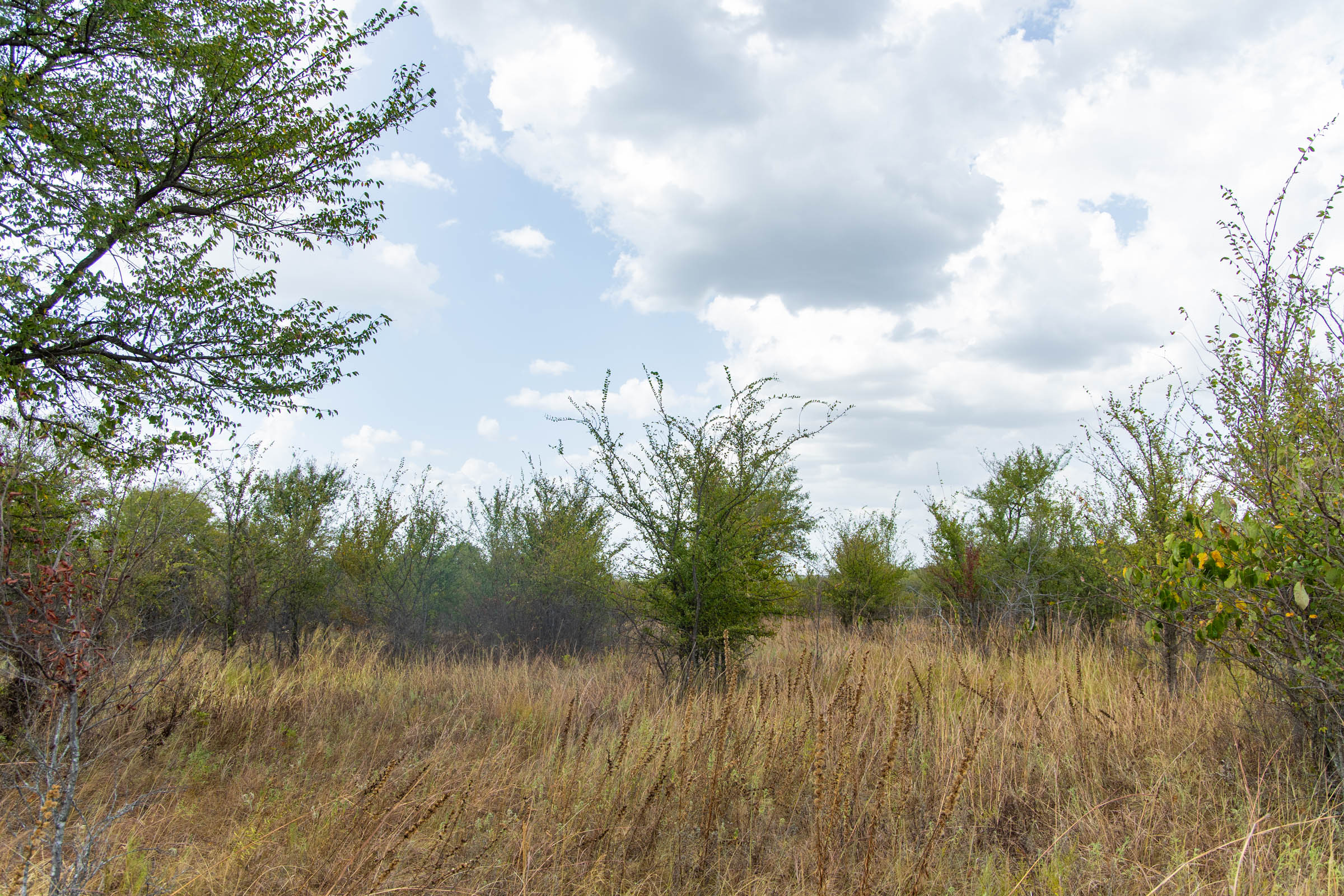 Gracyn Meadows Tract 14 photo 1