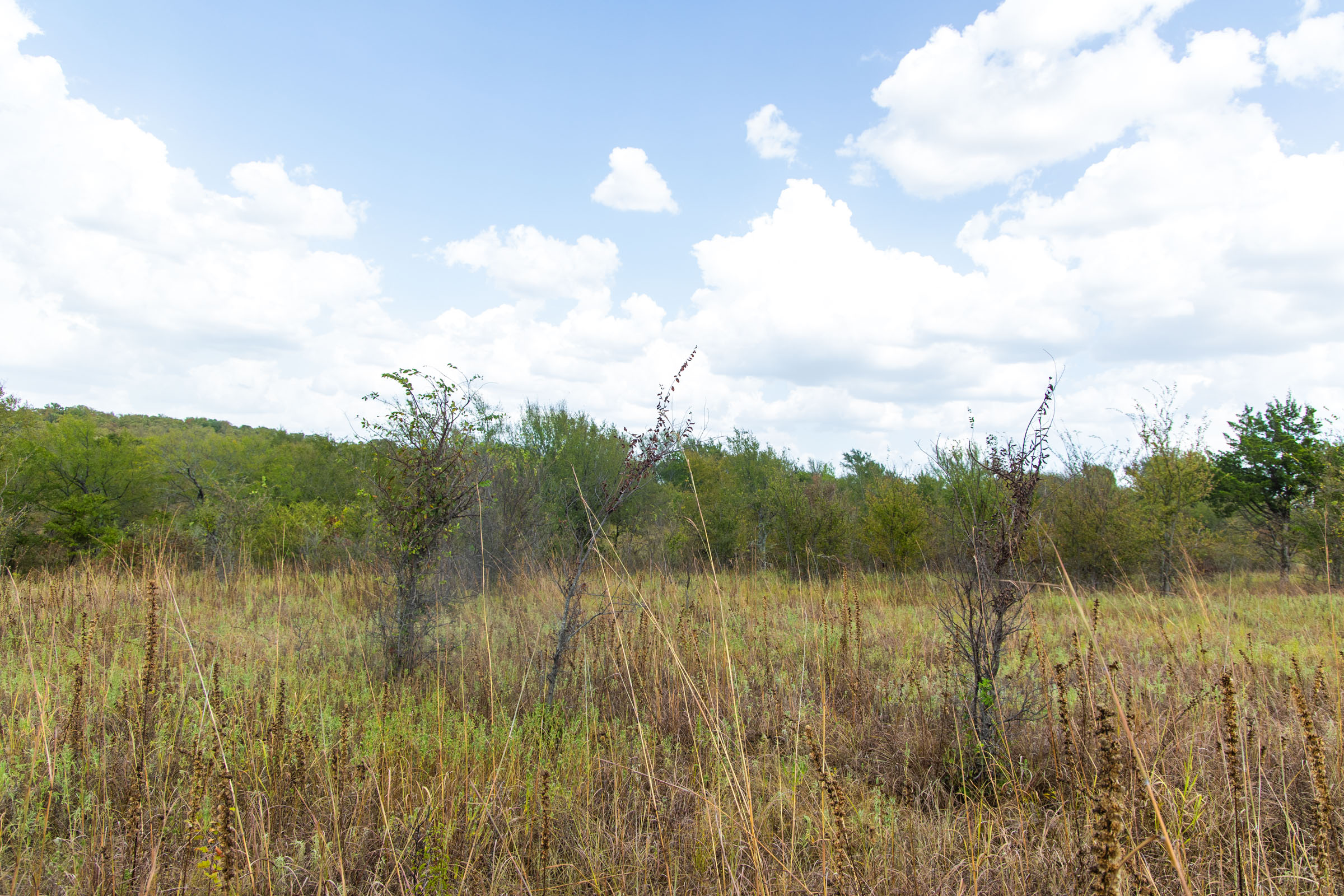 Gracyn Meadows Tract 14 photo 4