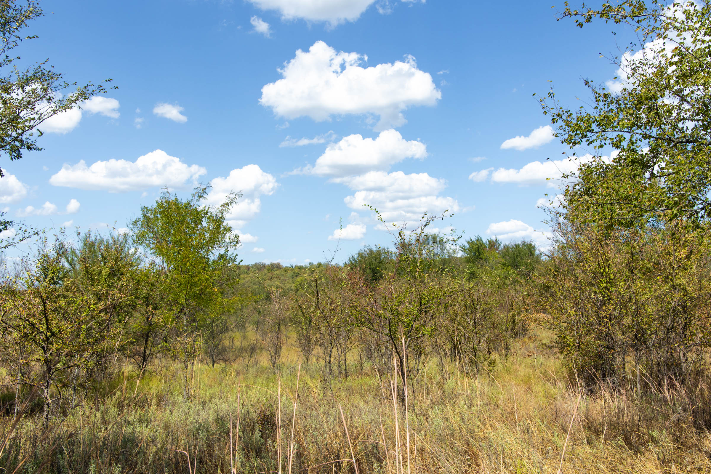 Gracyn Meadows Tract 14 photo 13