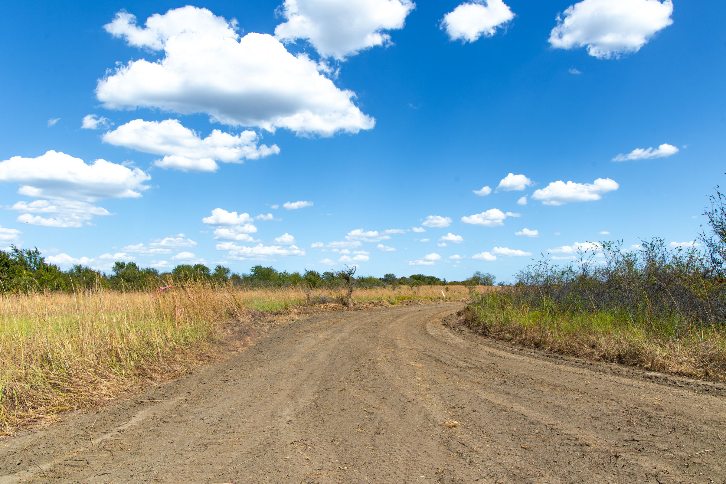 Gracyn Meadows Tract 14 photo 12