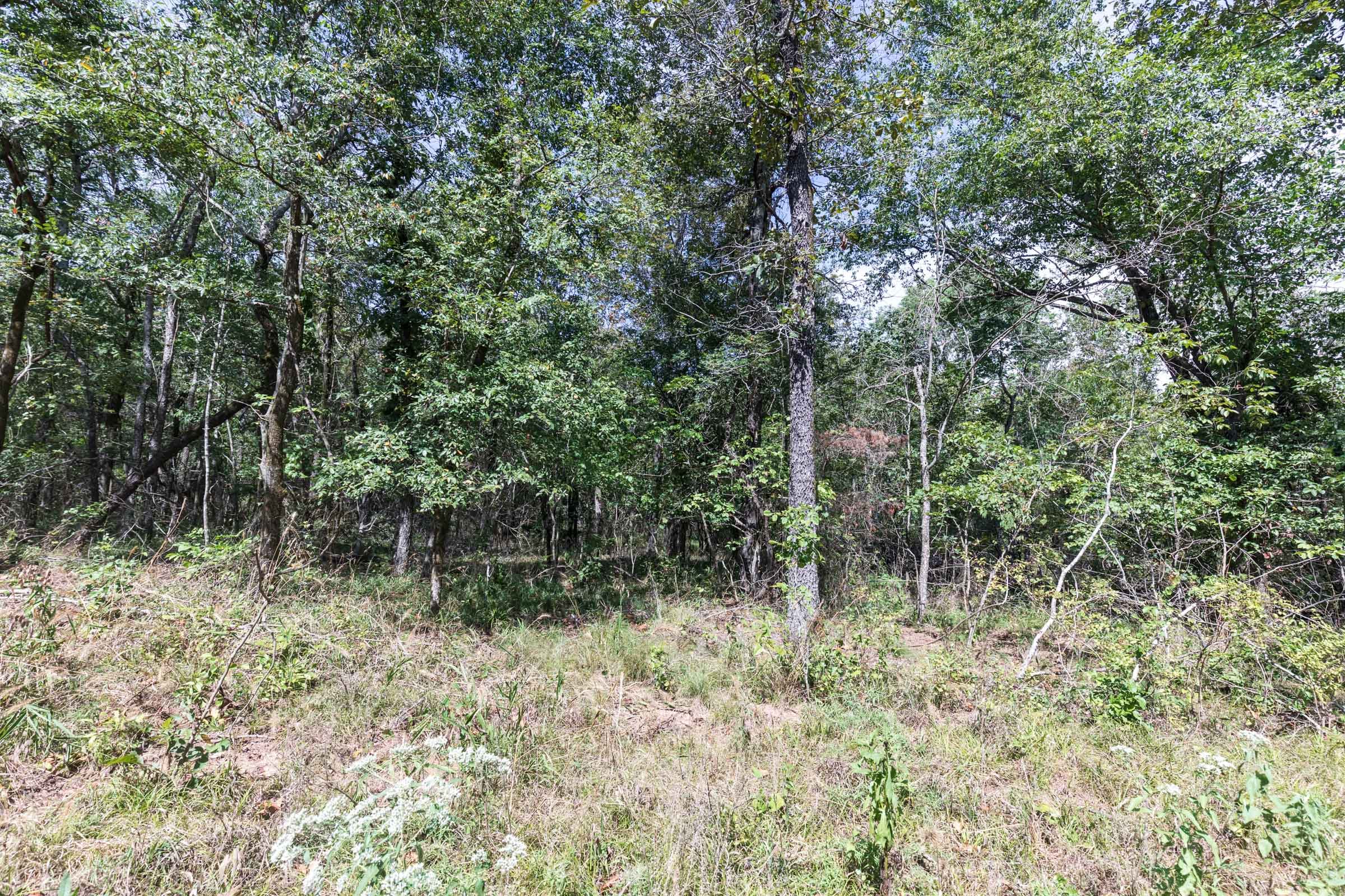 Stone Bridge Phase V Tract 407 photo 10