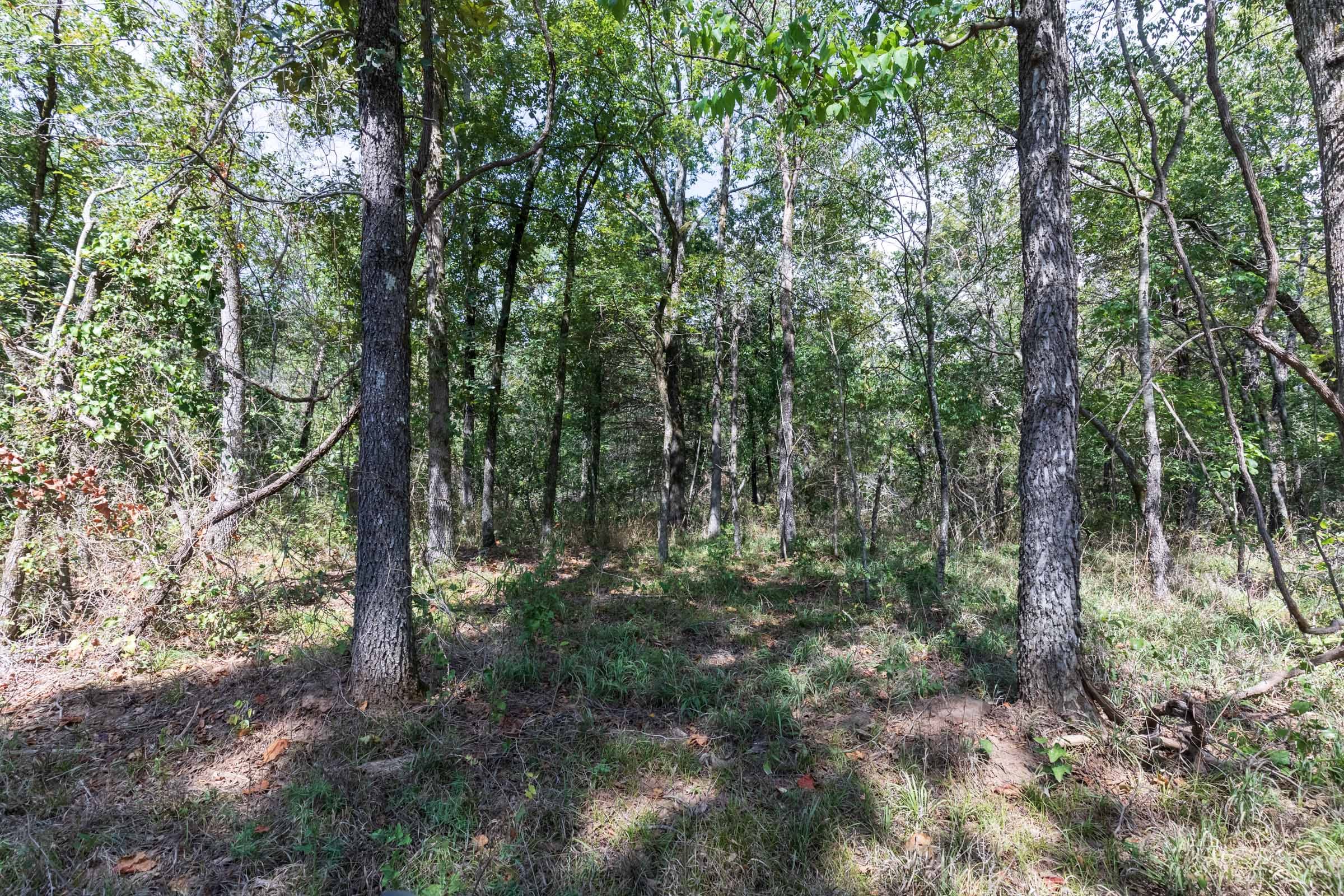 Stone Bridge Phase V Tract 407 photo 11