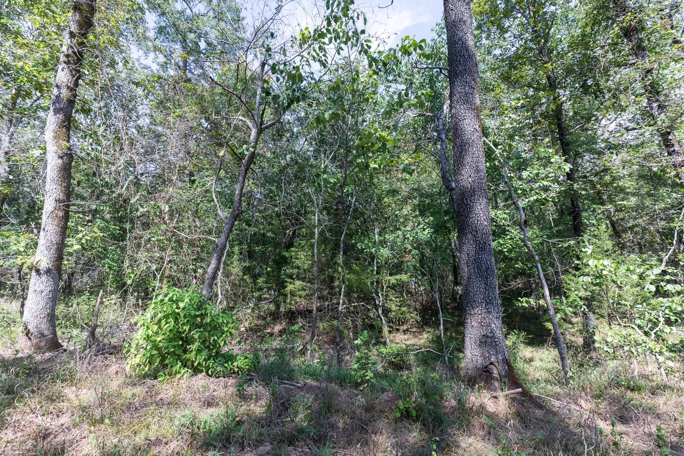 Stone Bridge Phase V Tract 407 photo 12