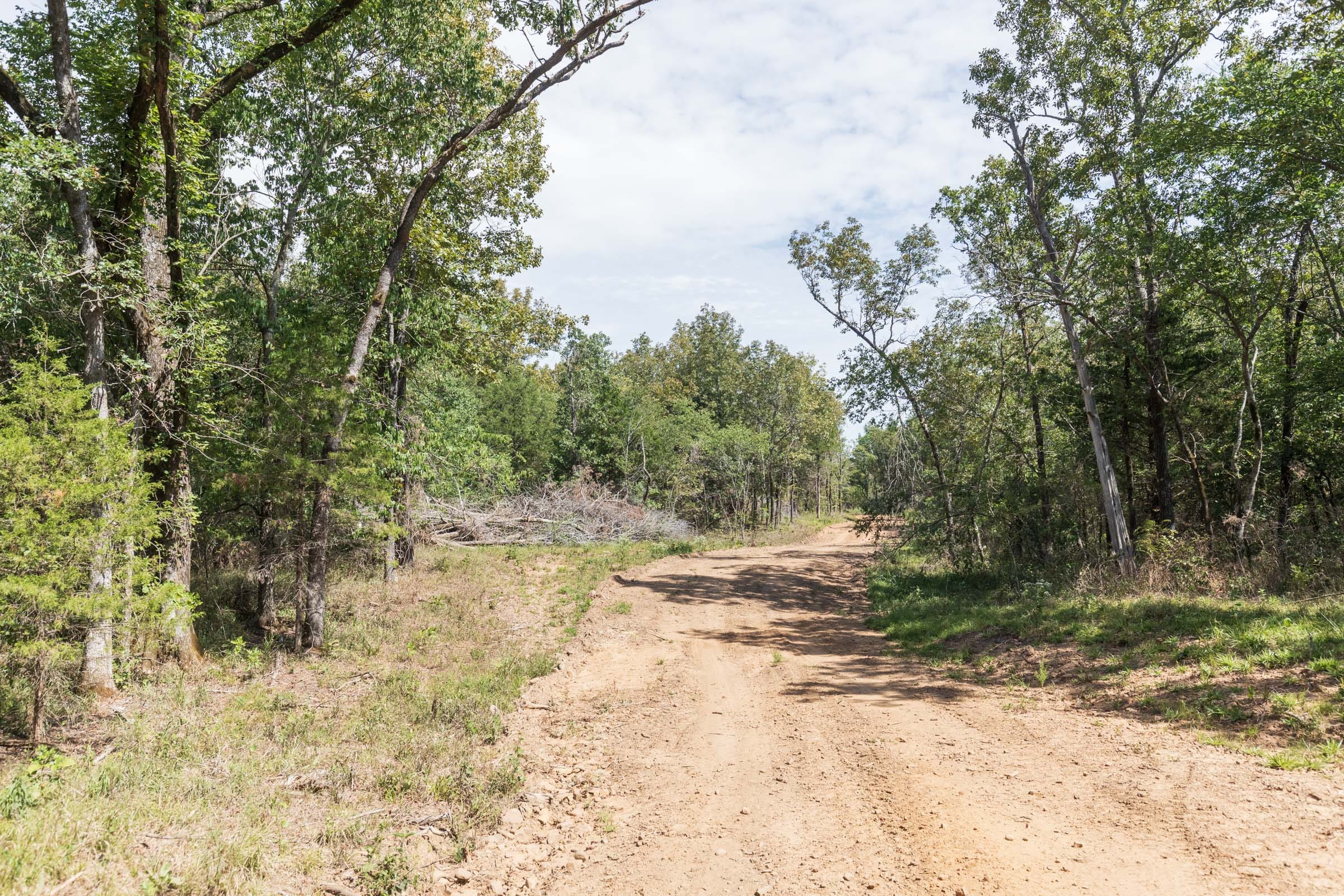 Stone Bridge Phase V Tract 407 photo 13