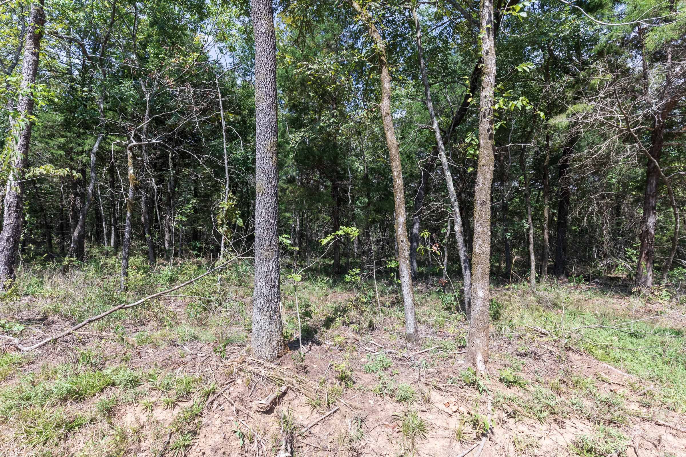 Stone Bridge Phase V Tract 407 photo 16