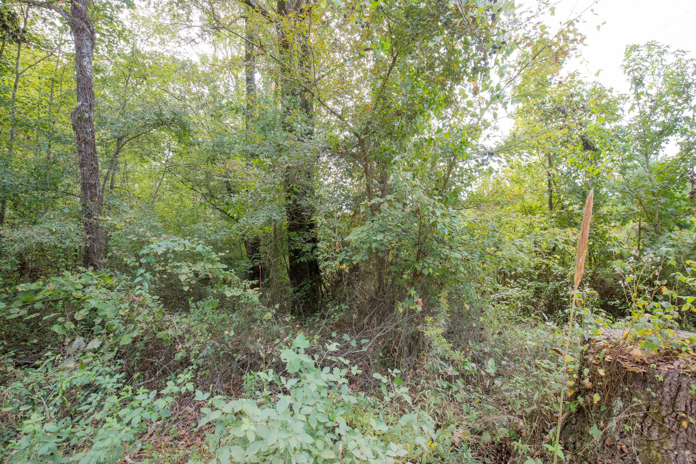 Sky Ranch Tract 6 photo 4