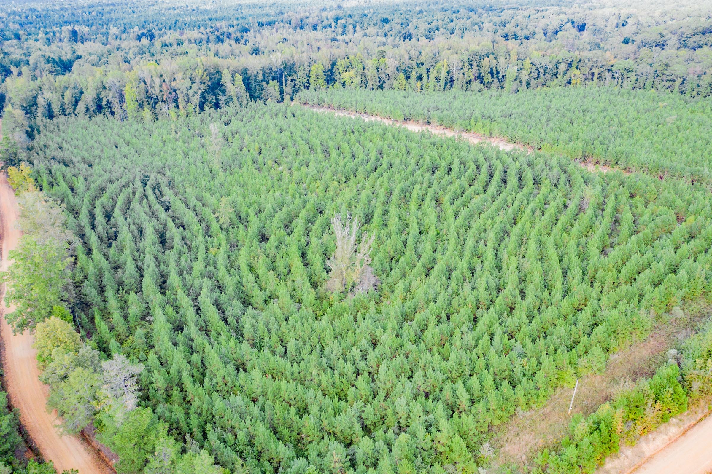 Sky Ranch Tract 6 photo 2