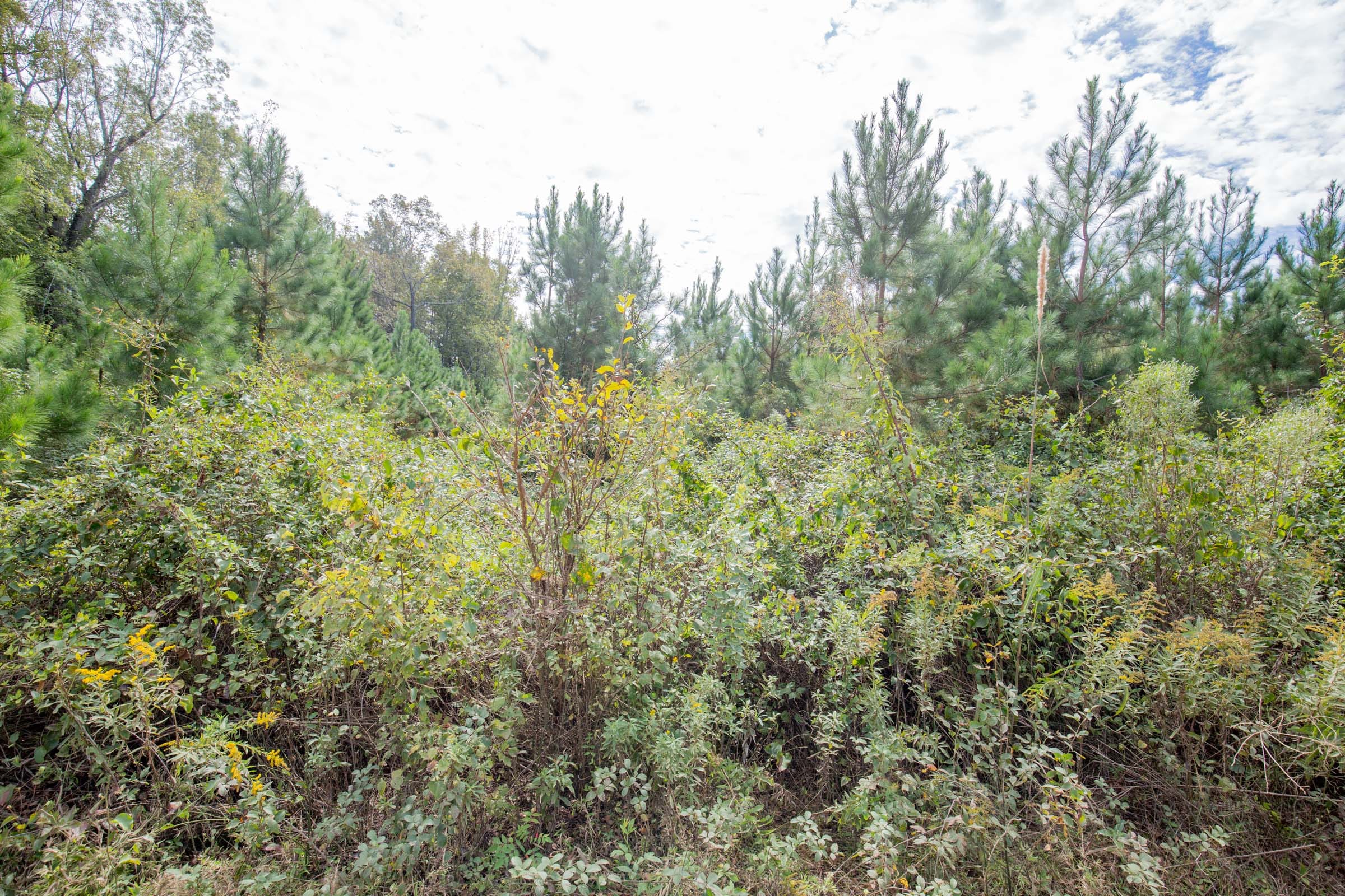 Sky Ranch Tract 6 photo 7