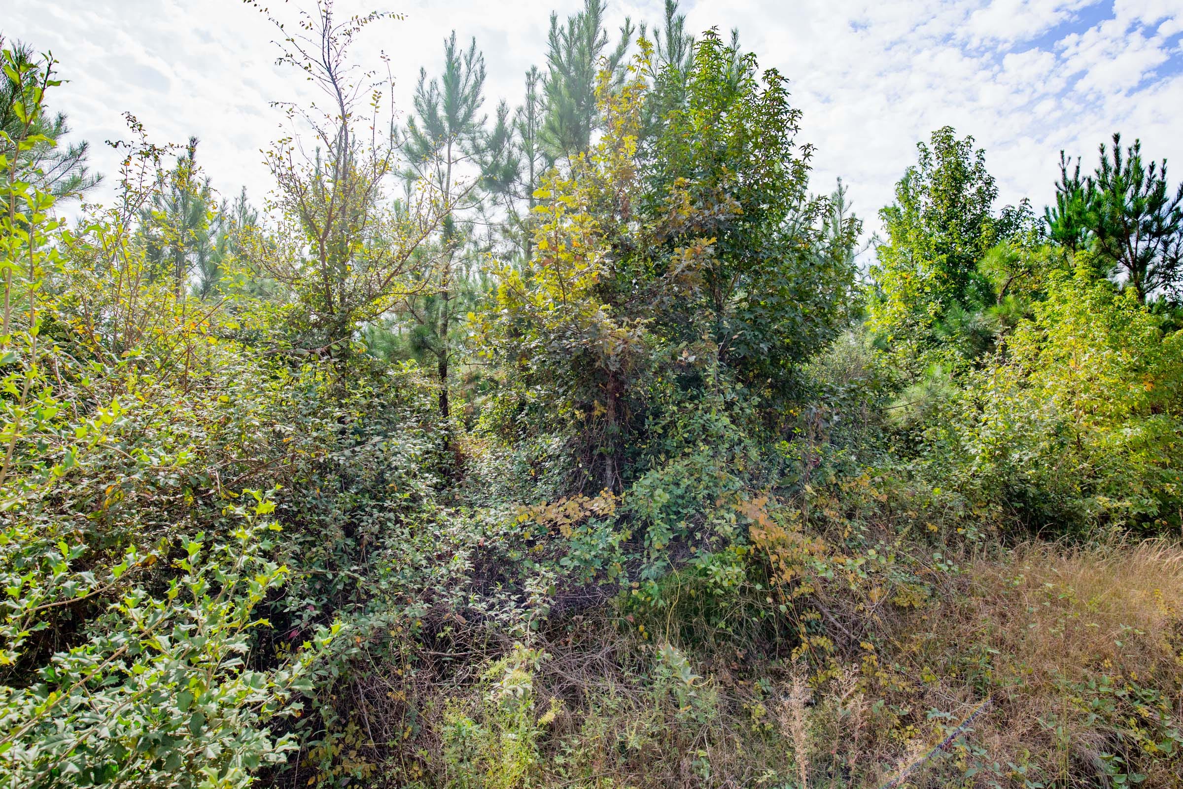 Sky Ranch Tract 6 photo 9