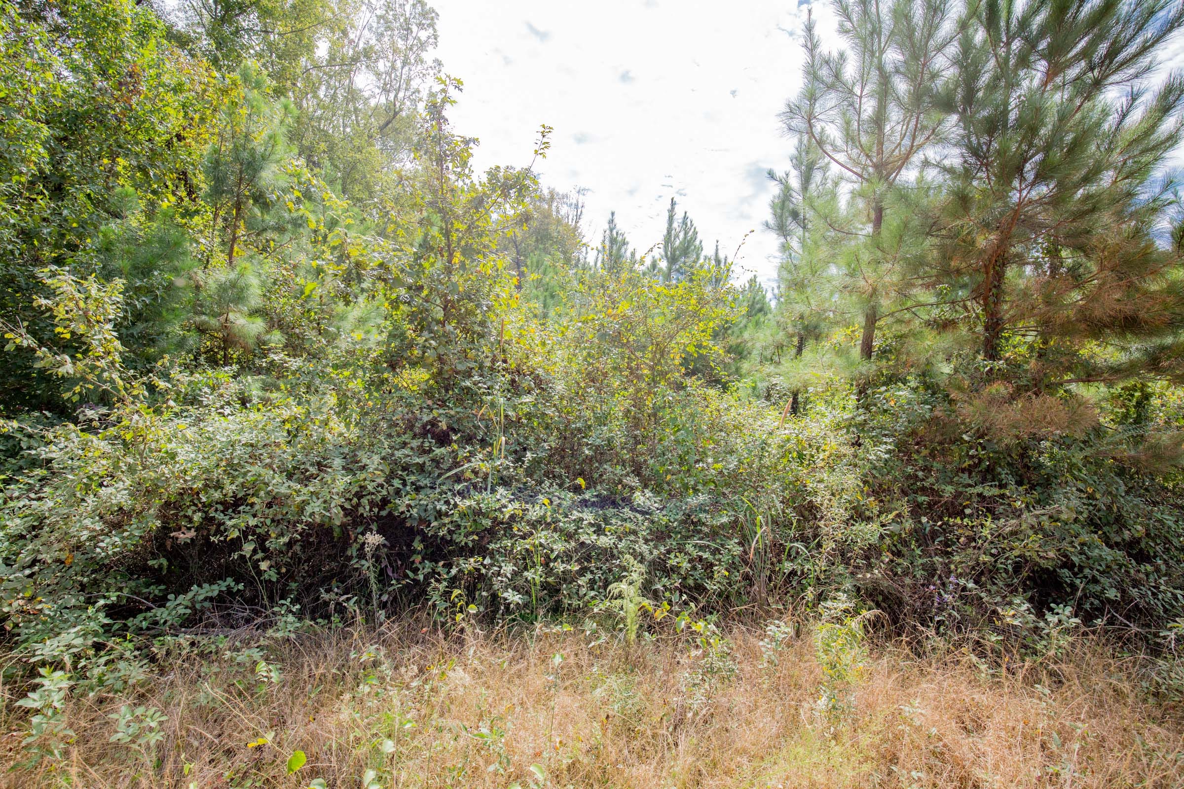 Sky Ranch Tract 6 photo 5