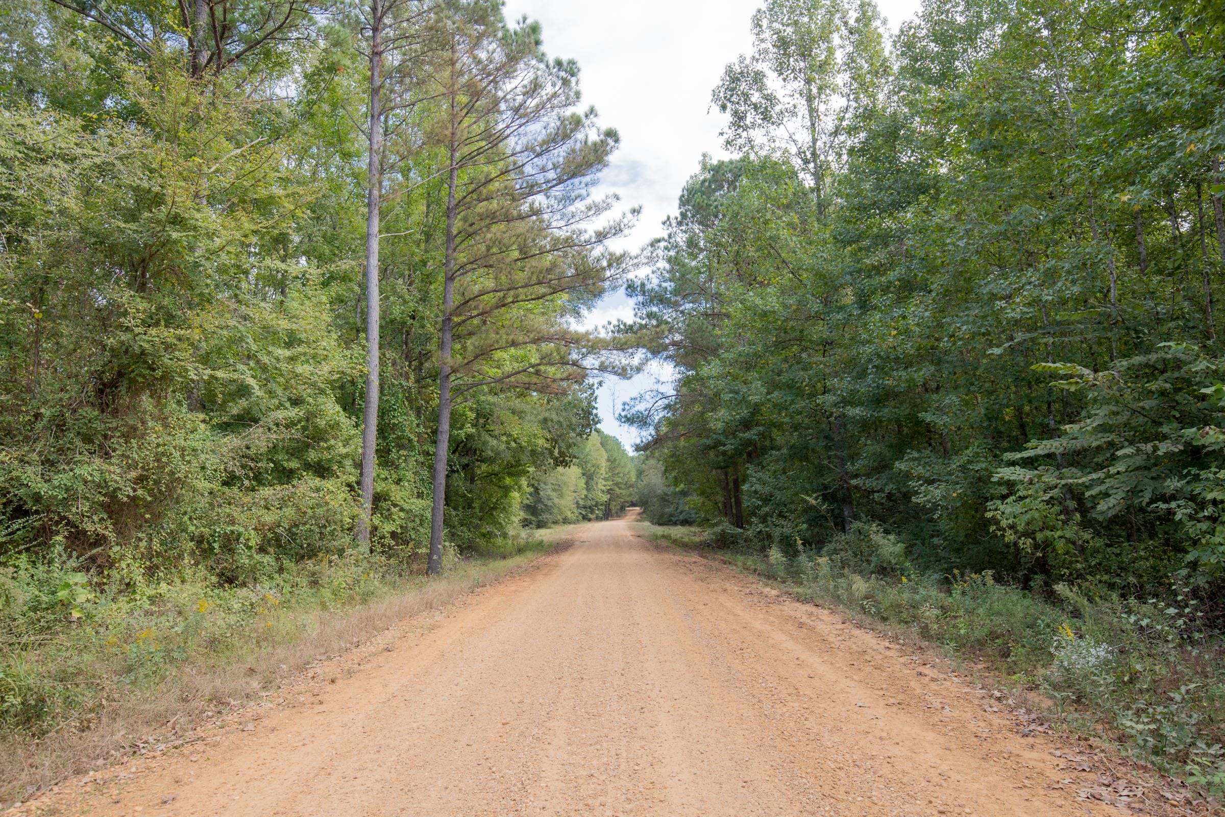 Sky Ranch Tract 6 photo 3