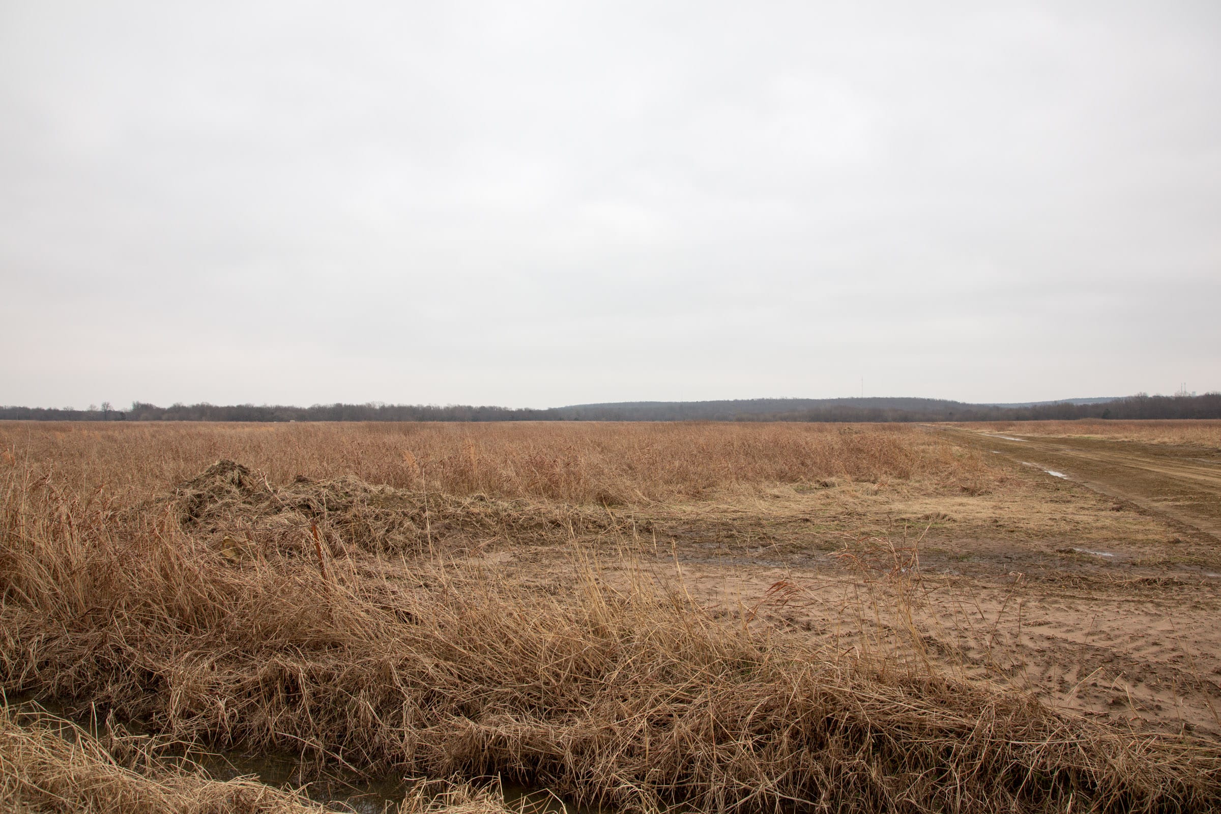 Canadian Plains Tract 32 photo 2