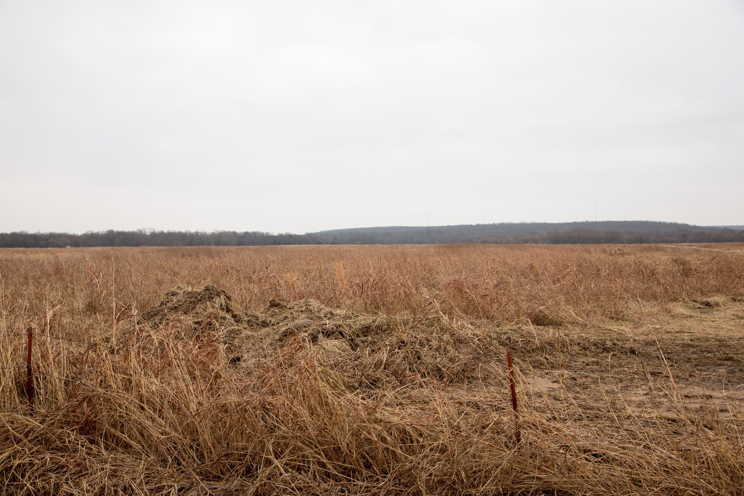 Canadian Plains Tract 32 photo 3