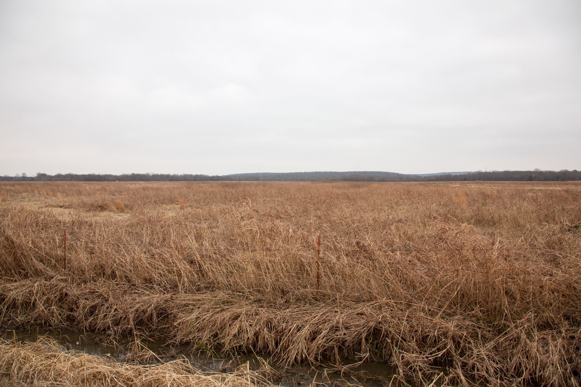 Canadian Plains Tract 32 photo 4