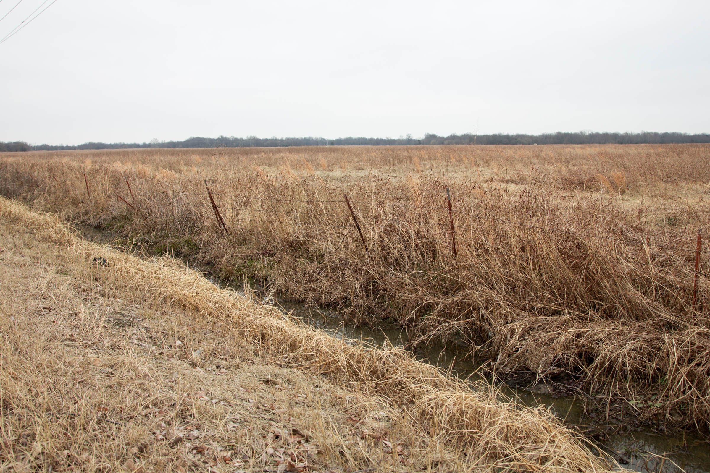 Canadian Plains Tract 32 photo 5