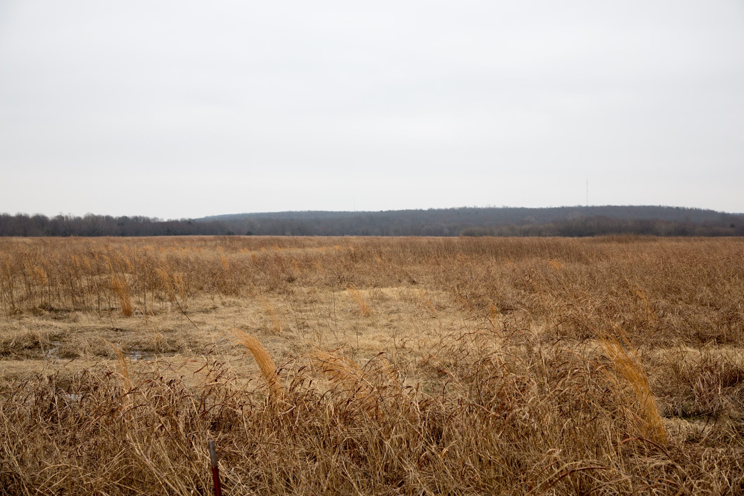 Canadian Plains Tract 32 photo 12