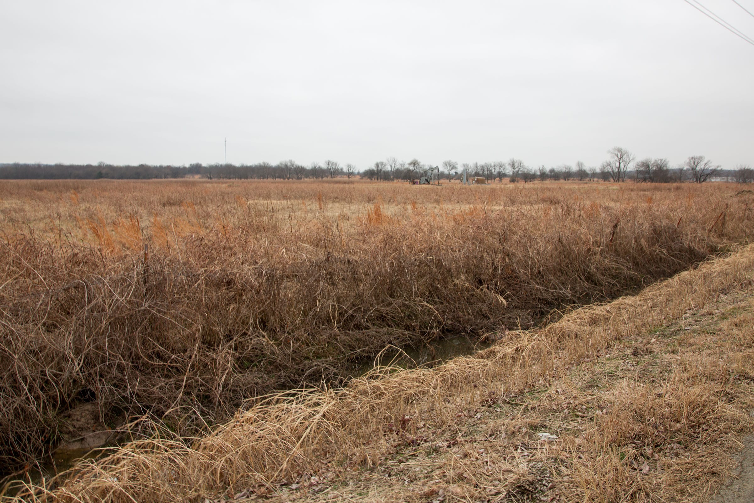 Canadian Plains Tract 32 photo 9