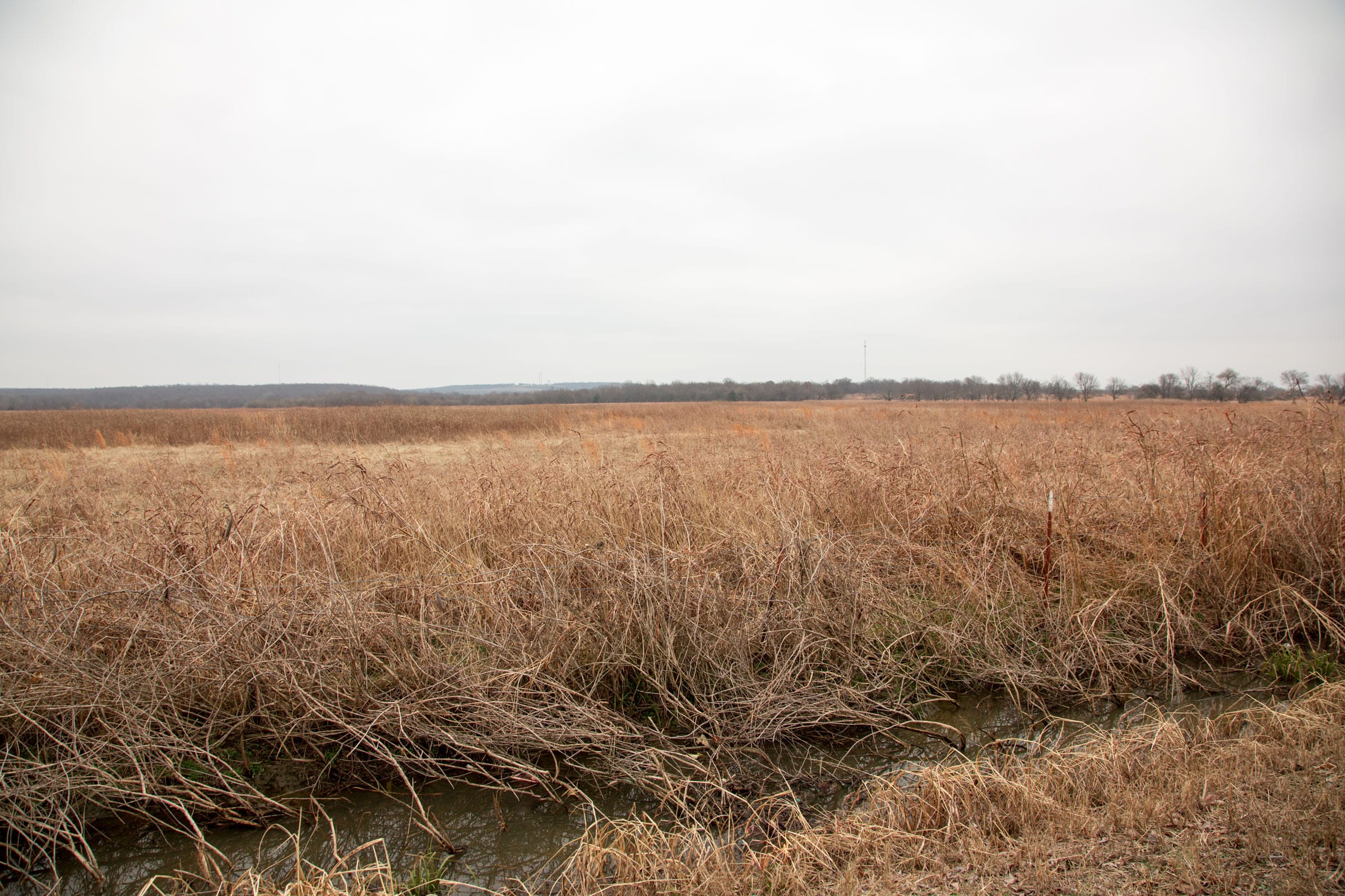 Canadian Plains Tract 32 photo 15