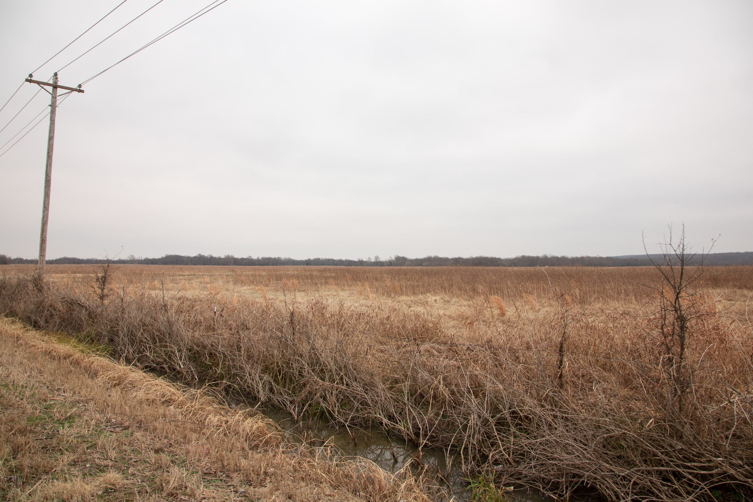 Canadian Plains Tract 32 photo 16